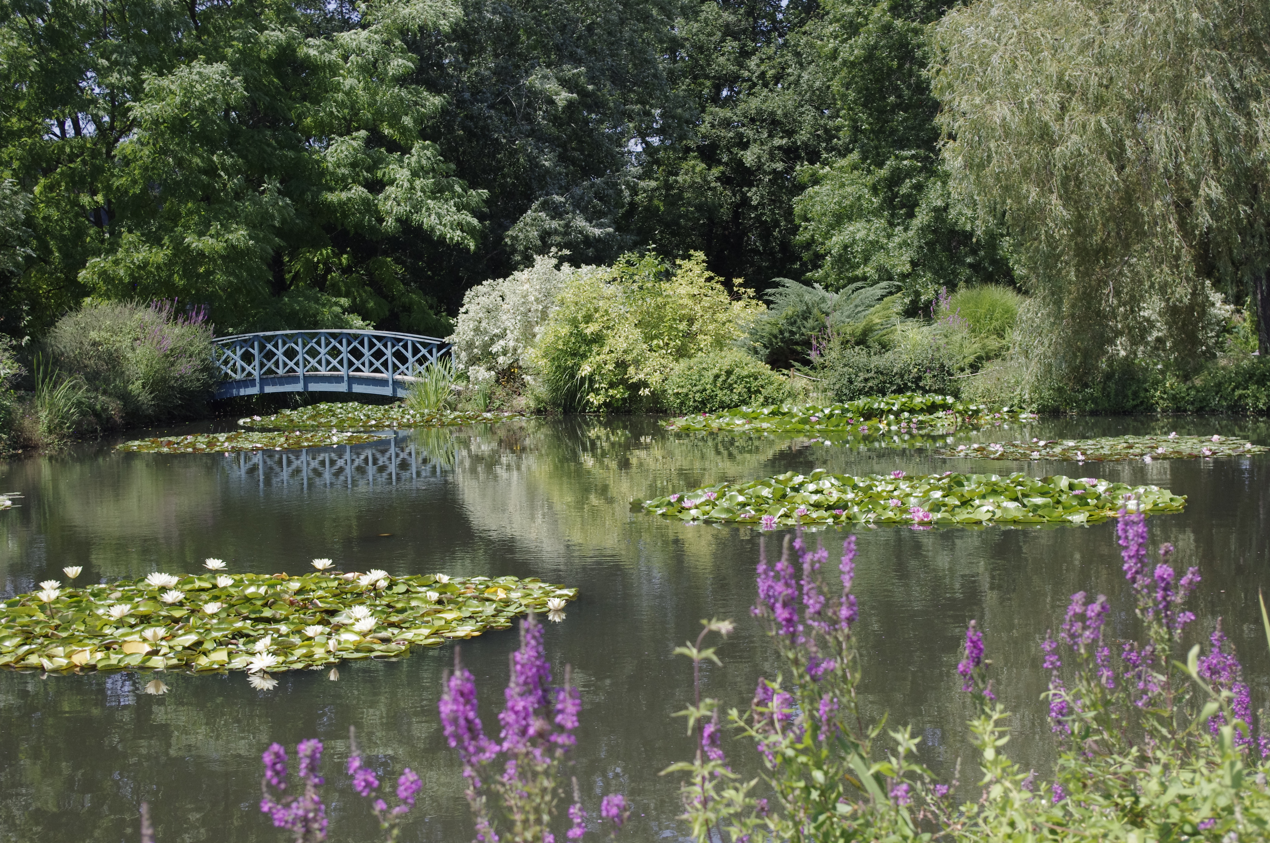 Soins énergétiques
